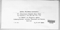 Image Associated With the Occurence